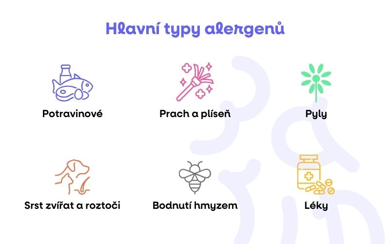 HLAVNI╠ü TYPY ALERGENU╠Ő